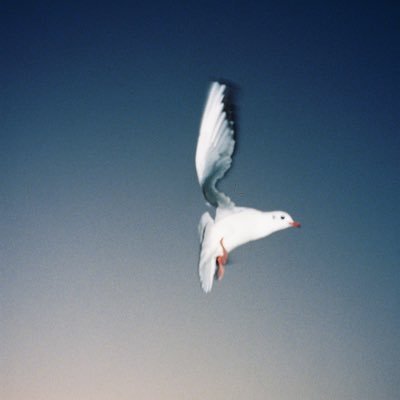 Ren Fujishige
