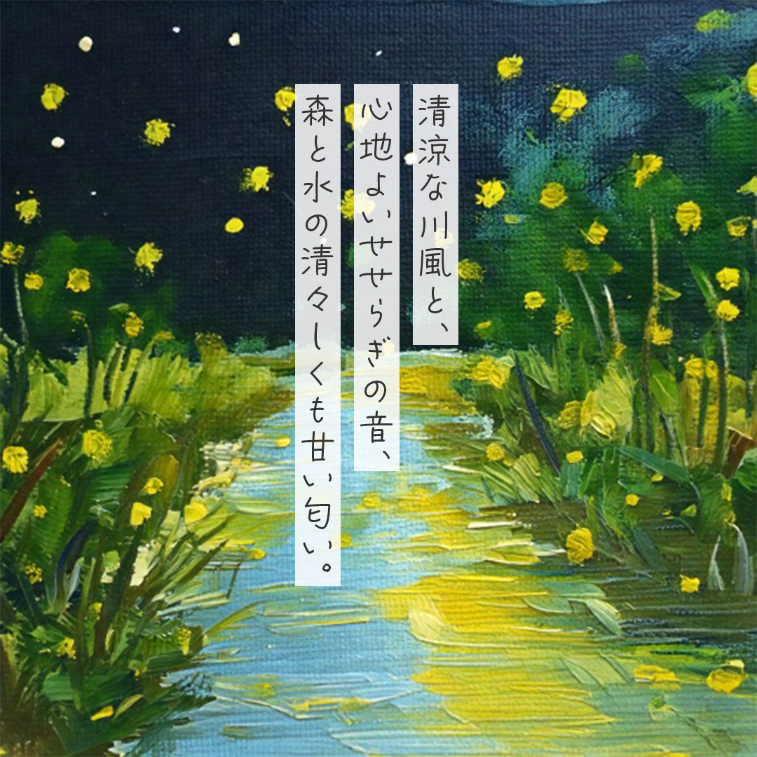 本の画像